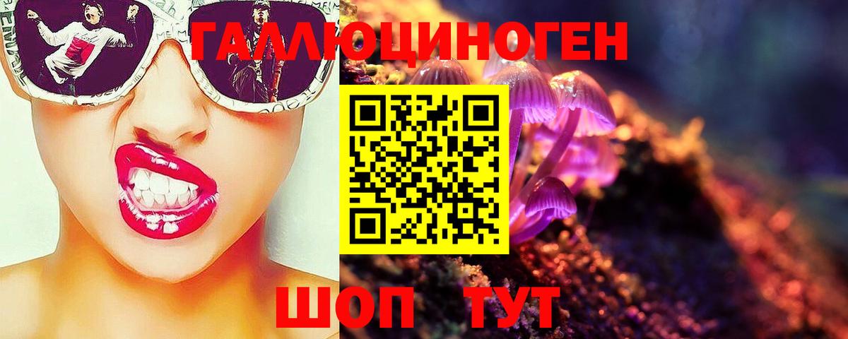 Галлюциногенные грибы мицелий Сланцы