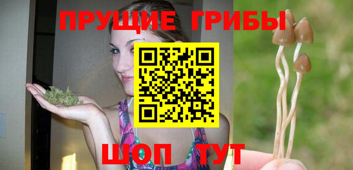 Псилоцибиновые грибы MAGIC MUSHROOMS  Вход с VPN  Сланцы  Галлюциногенные грибы мухоморы 