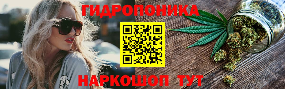 Конопля индика Сланцы